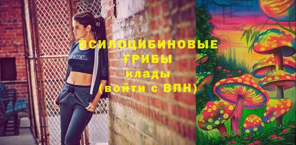 ПСИЛОЦИБИНОВЫЕ ГРИБЫ Кулебаки
