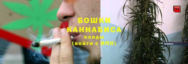 ПСИЛОЦИБИНОВЫЕ ГРИБЫ Кулебаки