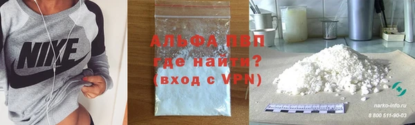 ПСИЛОЦИБИНОВЫЕ ГРИБЫ Кукмор