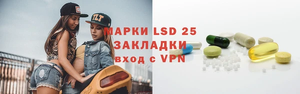 ПСИЛОЦИБИНОВЫЕ ГРИБЫ Кулебаки