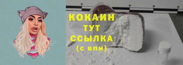 ПСИЛОЦИБИНОВЫЕ ГРИБЫ Кулебаки