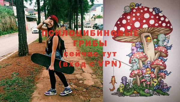 ПСИЛОЦИБИНОВЫЕ ГРИБЫ Кулебаки