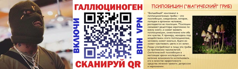 Купить  Нолинск  Галлюциногенные грибы Cubensis 